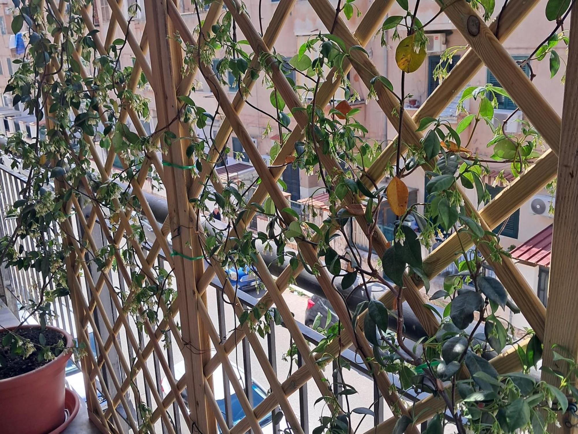 Appartement Casa Zia Rosetta à Palerme Extérieur photo